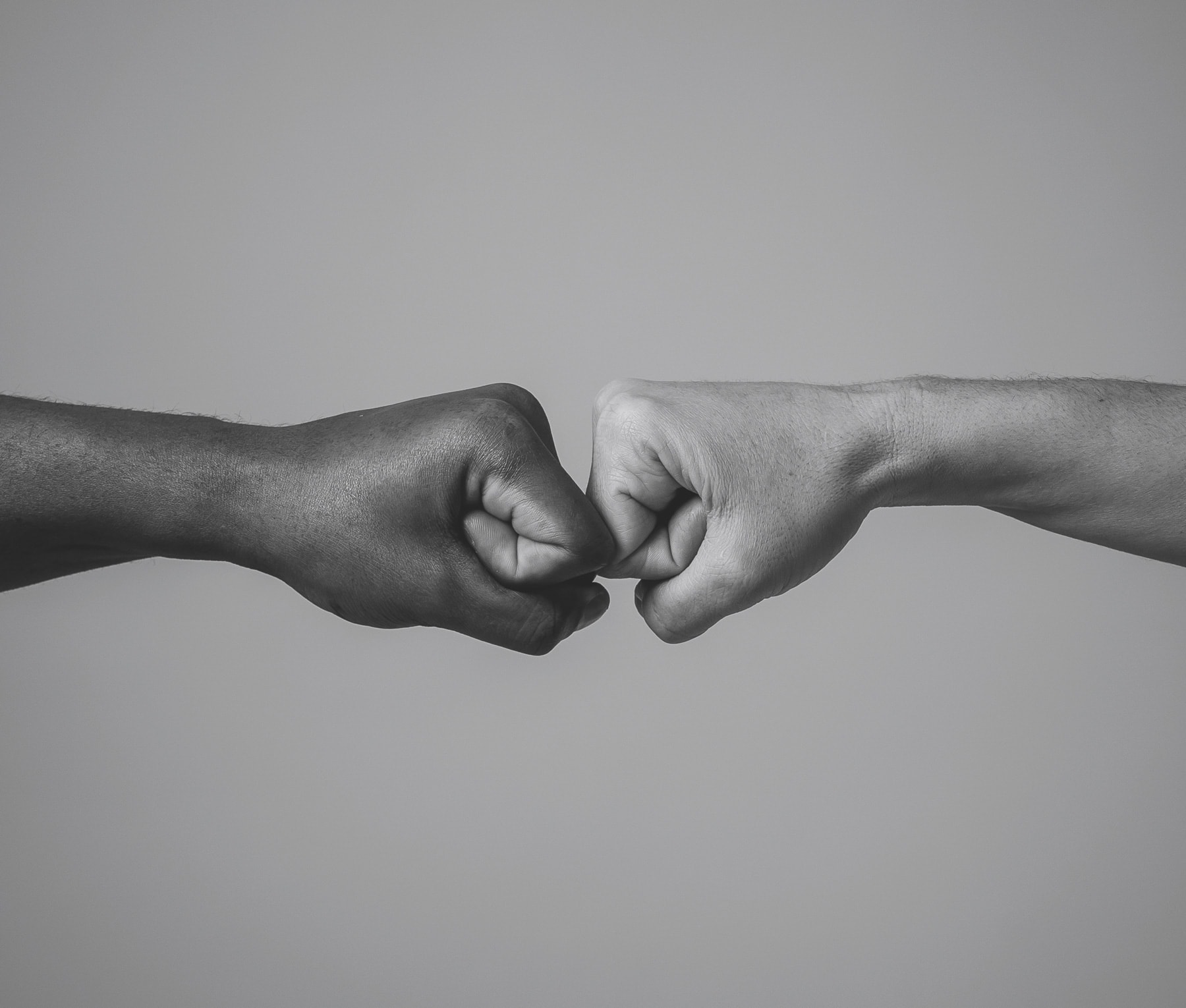 elite restoration co team naperville