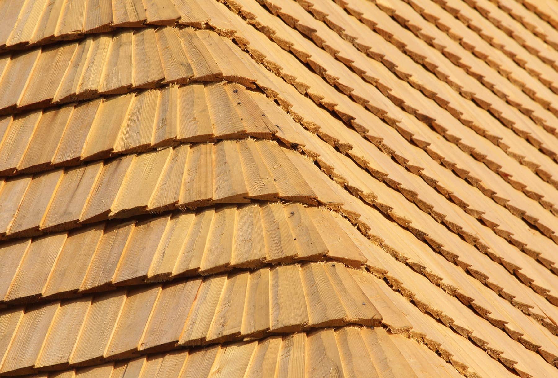 cost of roof replacement